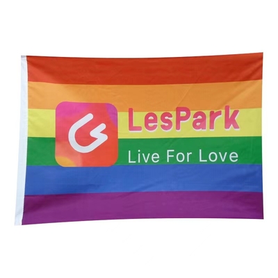 De vrolijke Vlag van Pride Rainbow LGBT voor de Vieringsdecoratie van de Festivalpartij
