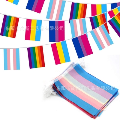 De Vlag Lesbisch Vrolijk Pride Triangle Flag van douanelogo polyester LGBT