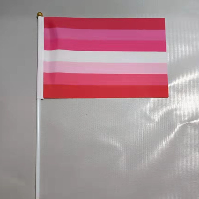 Hoog - van de de Vlaggendouane van de kwaliteits100d Polyester Handbediende LGBT de Regenboogvlaggen