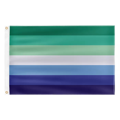 Digitaal printen Rainbow LGBT-vlag 3x5Ft 100D polyester voortgangsvlag